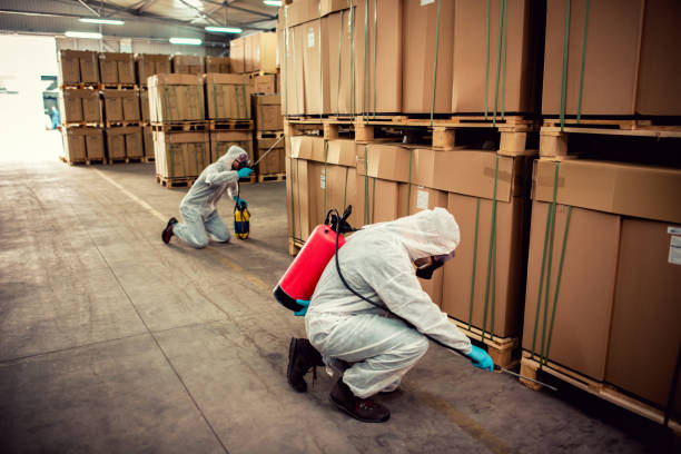 Best Pest Removal Services  in Santa Rita Ranch, TX