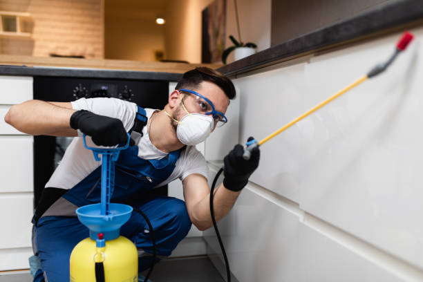 Flea Control Services in Santa Rita Ranch, TX