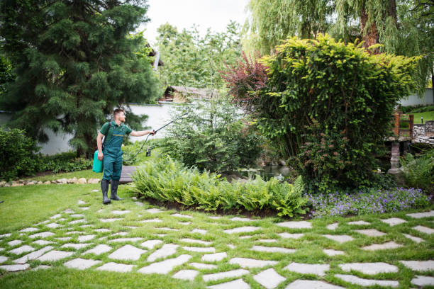 Best Local Pest Control Services  in Santa Rita Ranch, TX