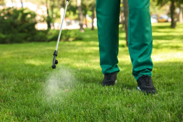 Best Ant Control Services  in Santa Rita Ranch, TX