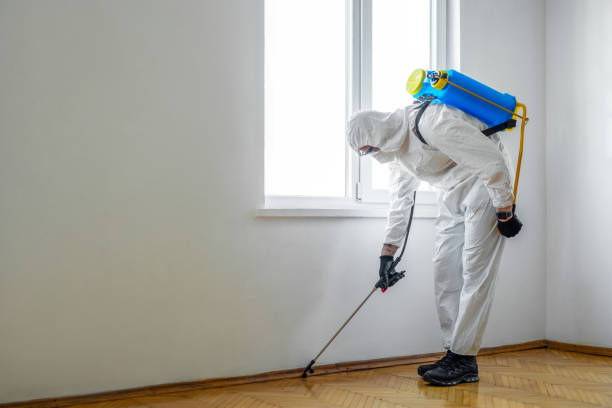 Best Flea Control Services  in Santa Rita Ranch, TX
