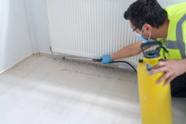 Professional Pest Control in Santa Rita Ranch, TX