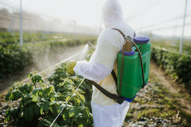 Best Best Pest Control Companies  in Santa Rita Ranch, TX